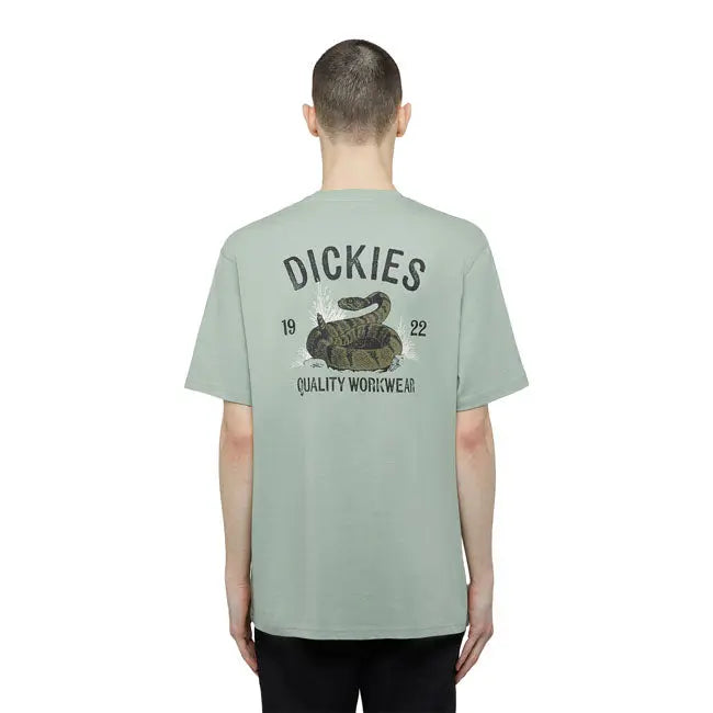 Dickies Snake T-Shirt Iceberg Green FREE UK Delivery, FREE 365 Day Returns | Moto Central