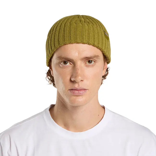 Dickies Lockwood Beanie Evergreen Sprig FREE UK Delivery, FREE 365 Day Returns | Moto Central