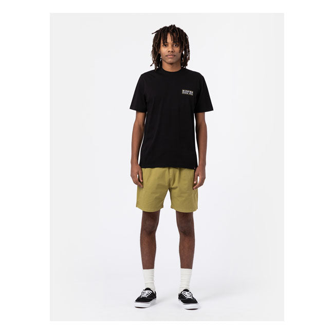 Dickies Pelican Rapids Shorts Green Moss
