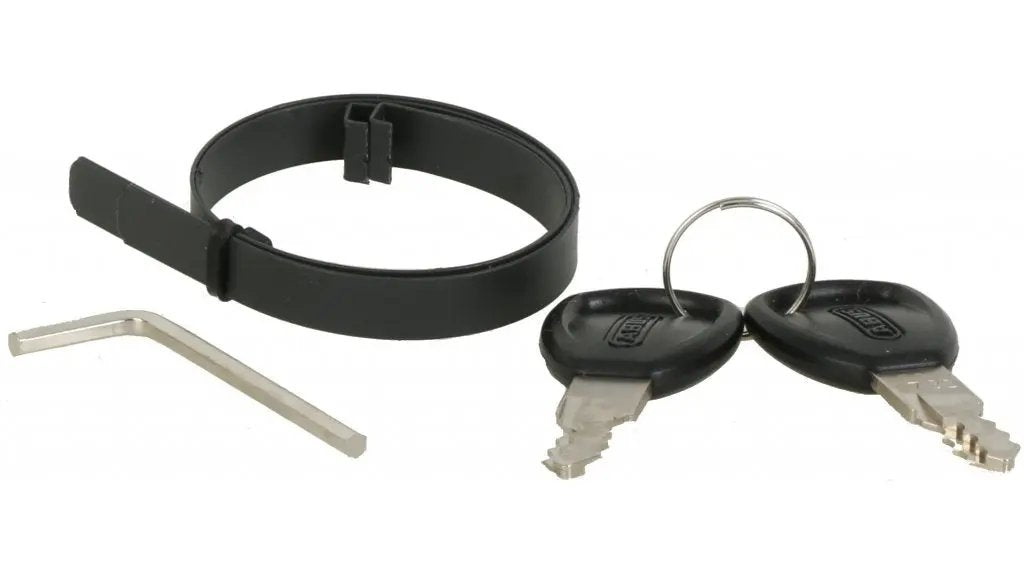 Abus Alarmbox Blue (No Remote Control) FREE UK Delivery, FREE 365 Day Returns | Moto Central