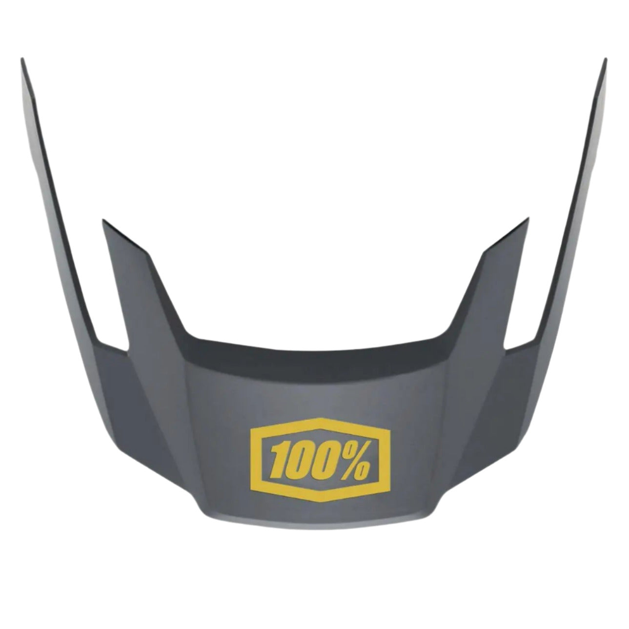 100% ALTEC Replacement Visor Charcoal - FREE UK Shipping, FREE 365 Day Returns | Moto Central