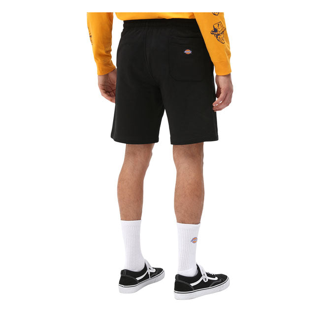 Dickies Champlin Shorts Black