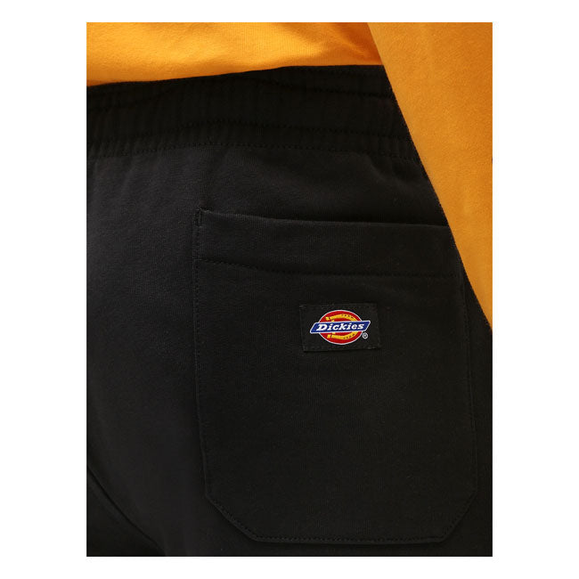 Dickies Champlin Shorts Black