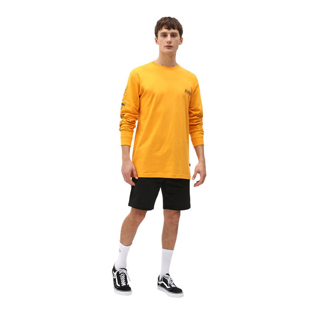 Dickies Champlin Shorts Black
