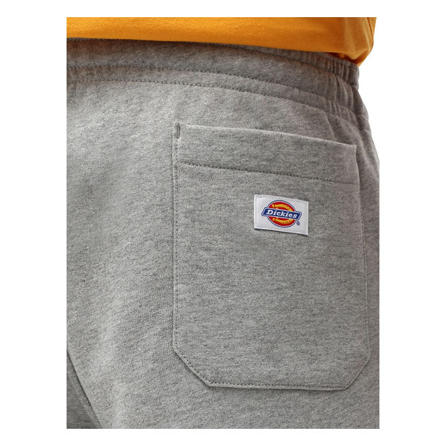 Dickies Champlin Shorts Grey Melange