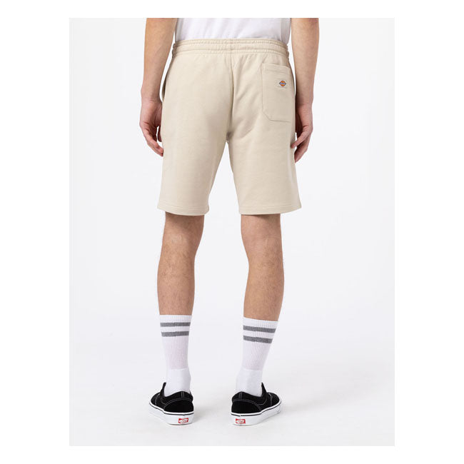 Dickies Champlin Shorts Cement