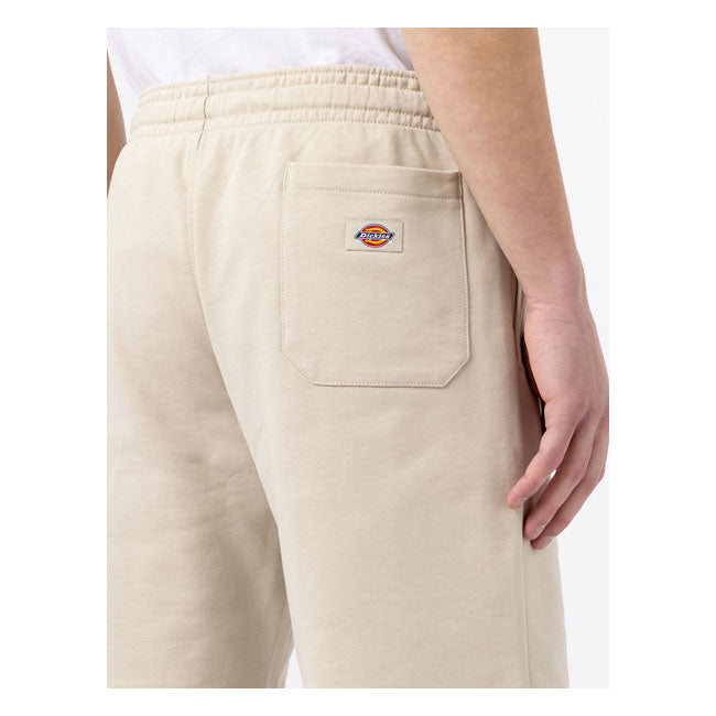 Dickies Champlin Shorts Cement