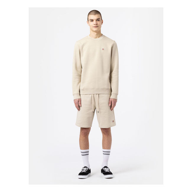 Dickies Champlin Shorts Cement