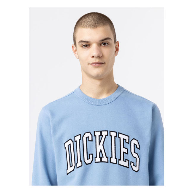 Dickies Aitkin Sweatshirt Allure