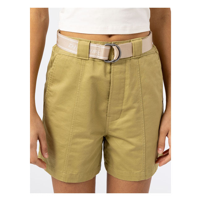Dickies Amboy Belt Cement