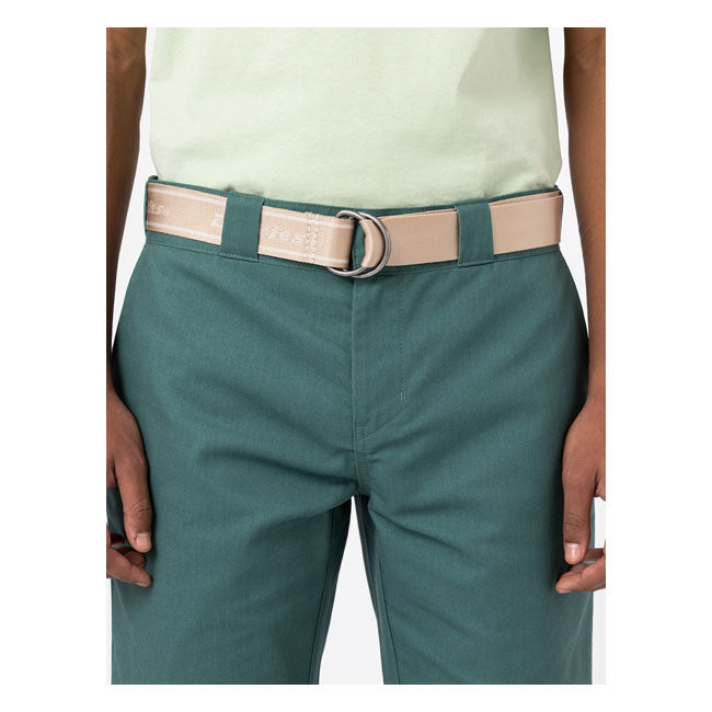 Dickies Amboy Belt Cement