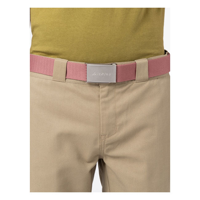 Dickies Brookston Belt Whitered Rose