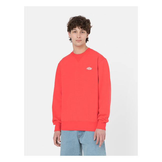 Dickies Summerdale Sweat Bittersweet