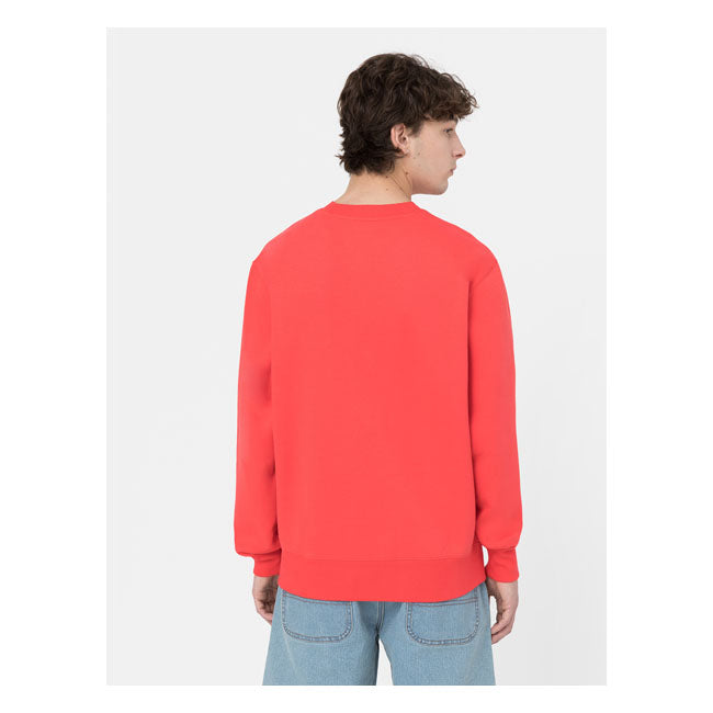 Dickies Summerdale Sweat Bittersweet