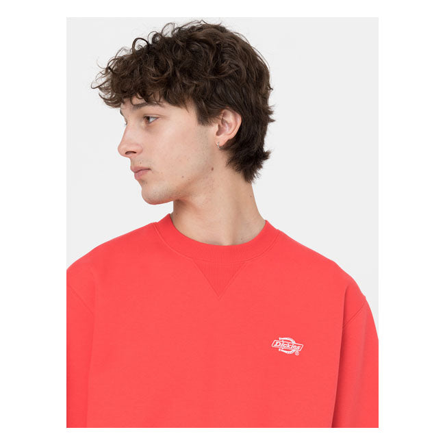 Dickies Summerdale Sweat Bittersweet