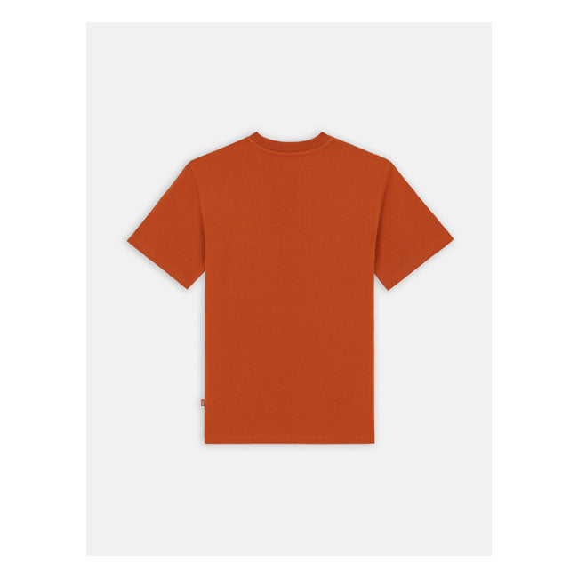 Dickies Summerdale T-Shirt Bombay Brown