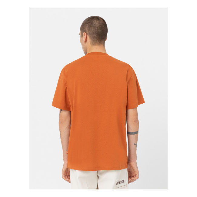 Dickies Summerdale T-Shirt Bombay Brown
