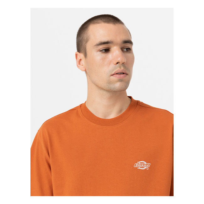 Dickies Summerdale T-Shirt Bombay Brown