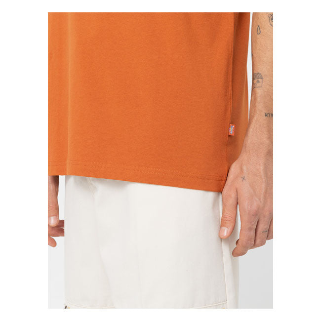 Dickies Summerdale T-Shirt Bombay Brown