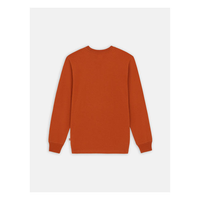 Dickies Summerdale Long Sleeves T-Shirt Bombay Brown