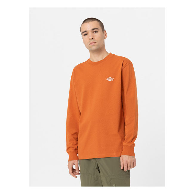Dickies Summerdale Long Sleeves T-Shirt Bombay Brown