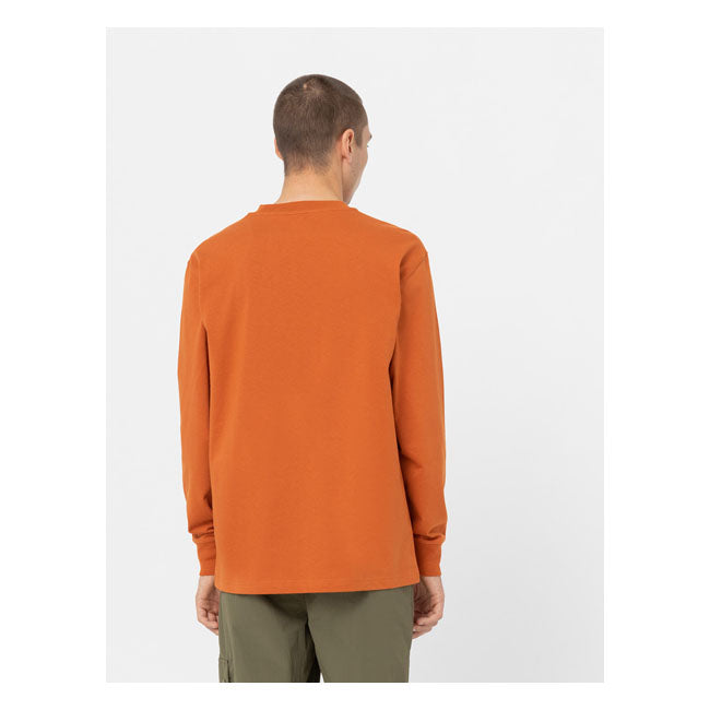 Dickies Summerdale Long Sleeves T-Shirt Bombay Brown