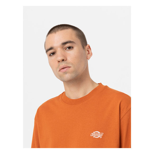 Dickies Summerdale Long Sleeves T-Shirt Bombay Brown