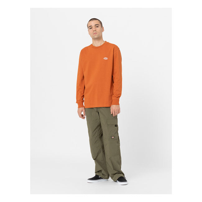 Dickies Summerdale Long Sleeves T-Shirt Bombay Brown