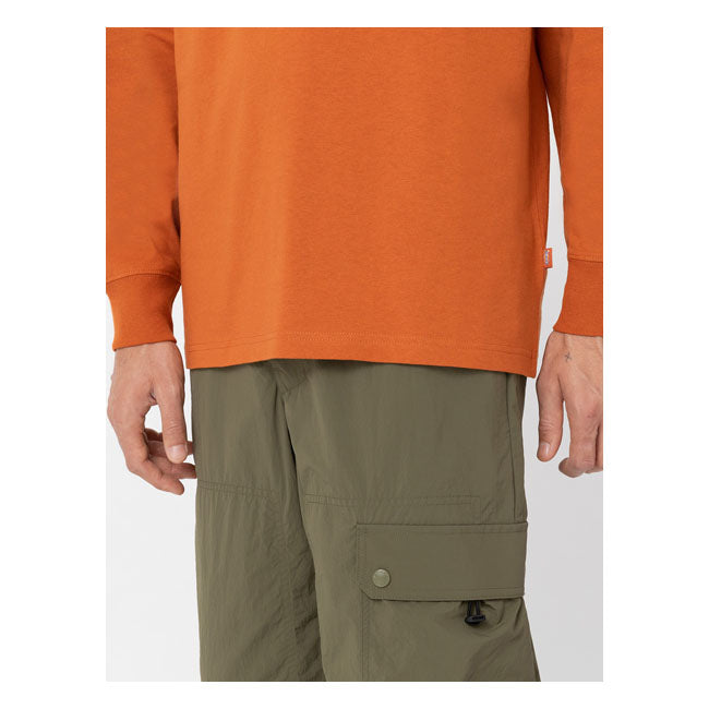 Dickies Summerdale Long Sleeves T-Shirt Bombay Brown