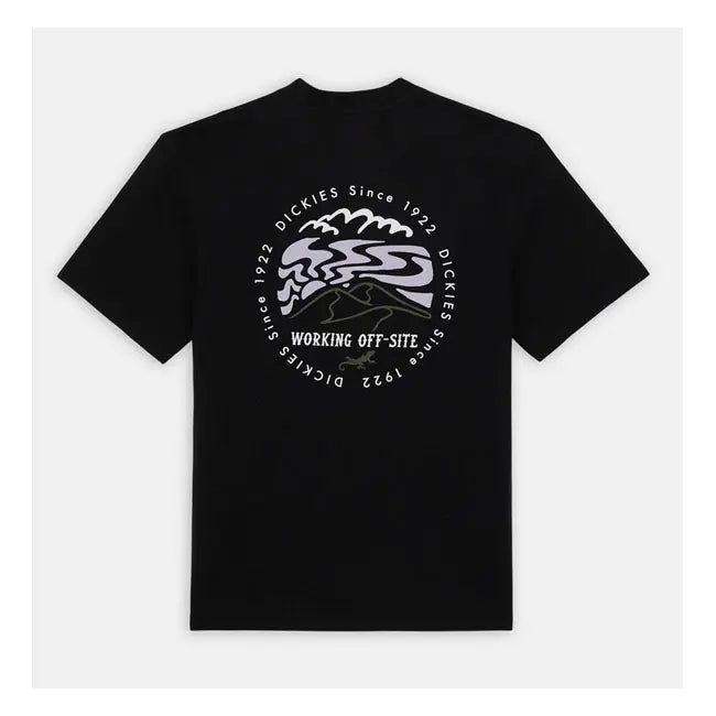 Dickies Stanardsville T-Shirt Black  - FREE UK Shipping, FREE 365 Day Returns | Moto Central