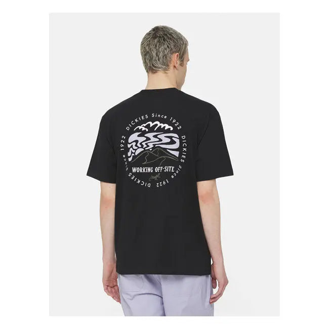 Dickies Stanardsville T-Shirt Black  - FREE UK Shipping, FREE 365 Day Returns | Moto Central