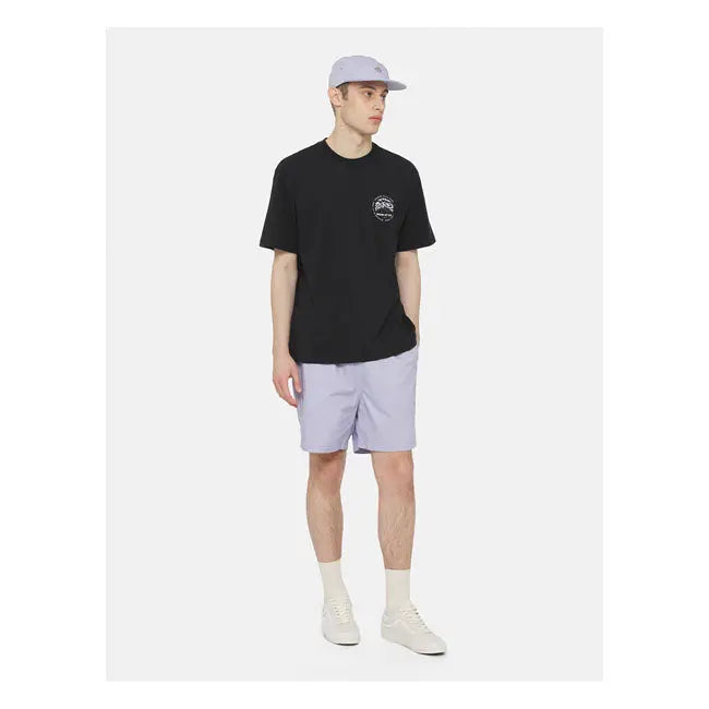 Dickies Stanardsville T-Shirt Black  - FREE UK Shipping, FREE 365 Day Returns | Moto Central