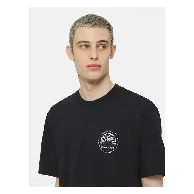 Dickies Stanardsville T-Shirt Black  - FREE UK Shipping, FREE 365 Day Returns | Moto Central