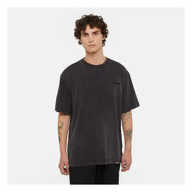 Dickies Plentywood T-Shirt Acid Wash Black  - FREE UK Shipping, FREE 365 Day Returns | Moto Central
